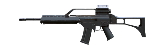 G36
